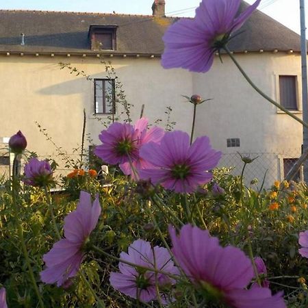Manoir De La Guignardiere - Charme Et Douceur Chavagne Exteriér fotografie