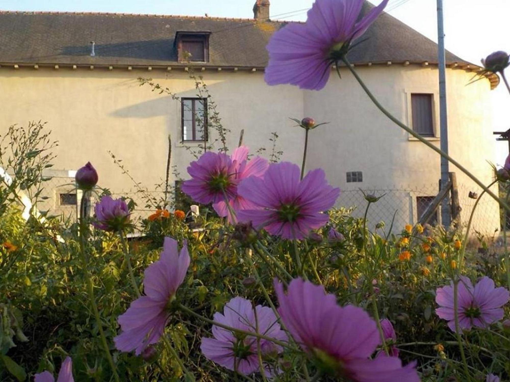 Manoir De La Guignardiere - Charme Et Douceur Chavagne Exteriér fotografie